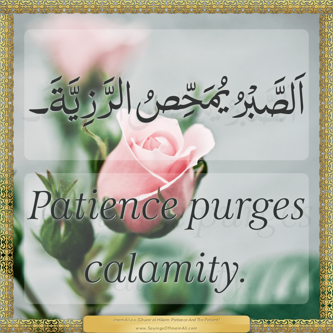 Patience purges calamity.